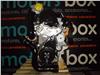 Foto 2 del coche Motor Seat Leon 1.9TDI 105CV  en Lleida