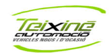Teixine Automocio