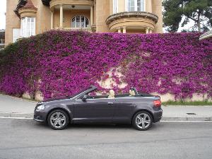 Audi A3 Cabrio 1.9 TDi 105 CV manual: Abiertamente deportivo