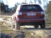 Ampliar imagen